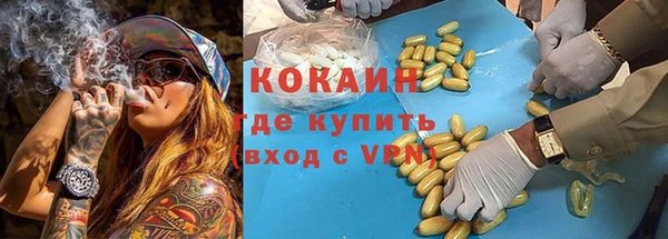 крисы Надым