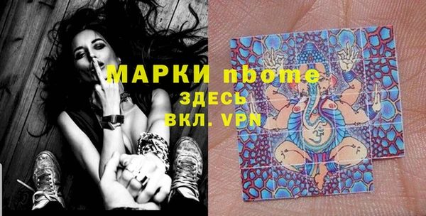 крисы Надым