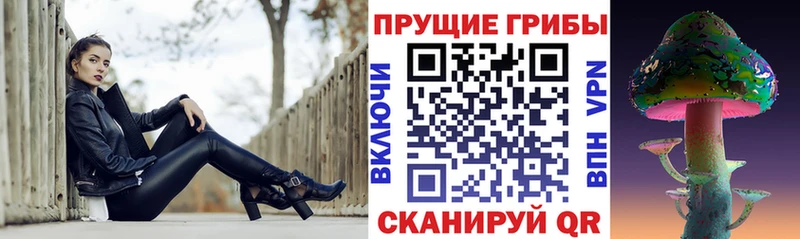 Псилоцибиновые грибы Psilocybine cubensis  блэк спрут маркетплейс  Олёкминск  цена наркотик 